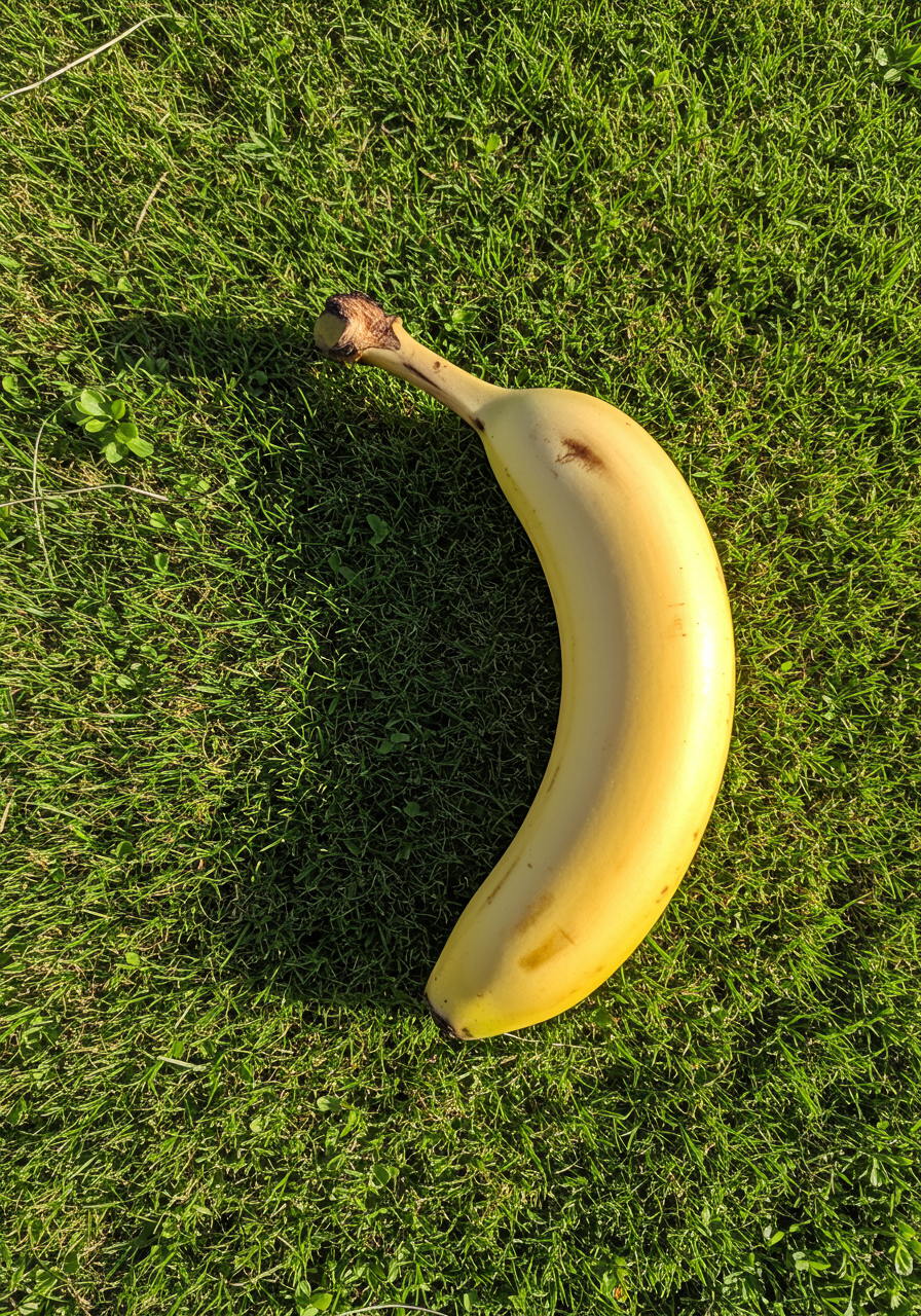 Sur l’herbe verte, un croissant ensoleillé rêve d’un smoothie, tandis que la brise murmure des rêves de périples tropicaux.